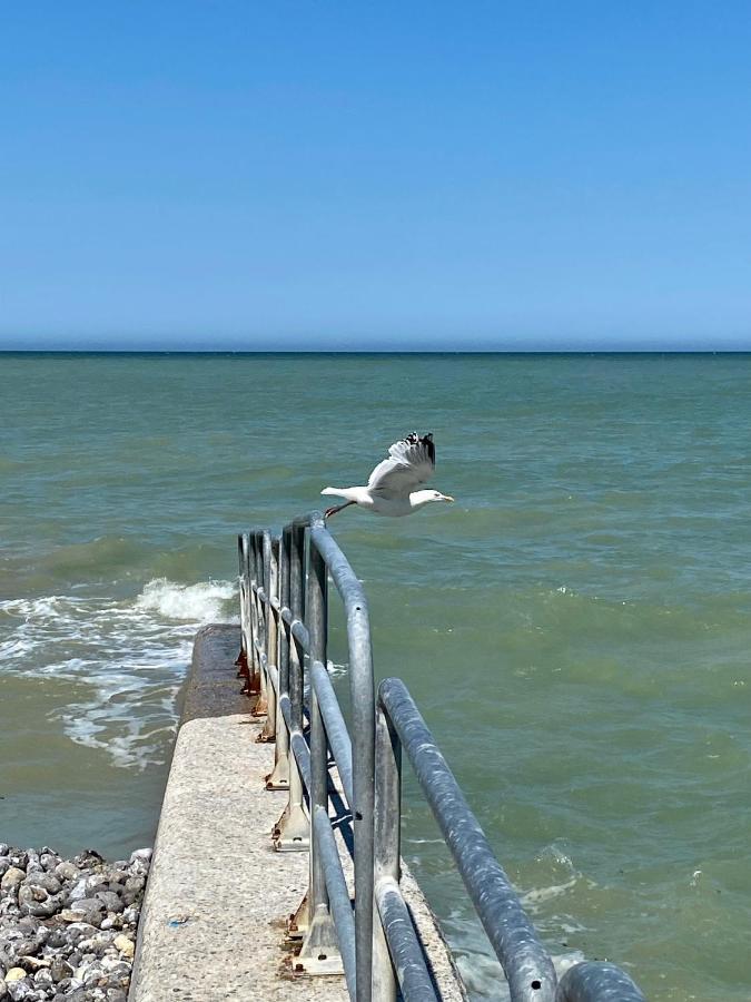 Les Cygnes De